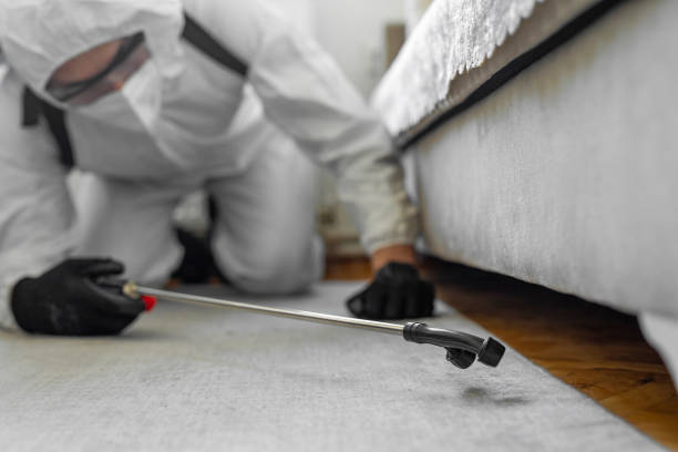 Professional Mosquito Control technician working in Holcomb, KS