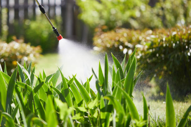 24/7 Emergency Mosquito Control experts in Holcomb, KS