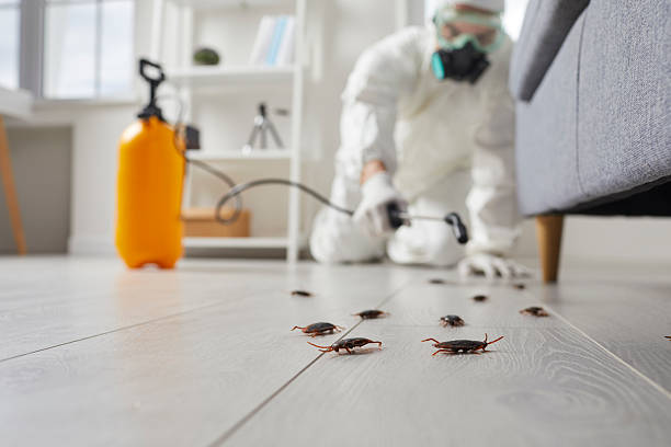 Trusted Cockroach Control service in Holcomb, KS - Nex Pest Control